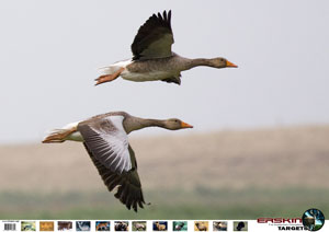 goose targets